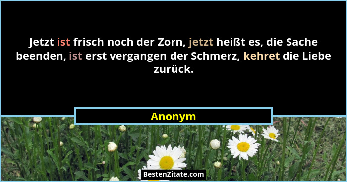 Jetzt ist frisch noch der Zorn, jetzt heißt es, die Sache beenden, ist erst vergangen der Schmerz, kehret die Liebe zurück.... - Anonym