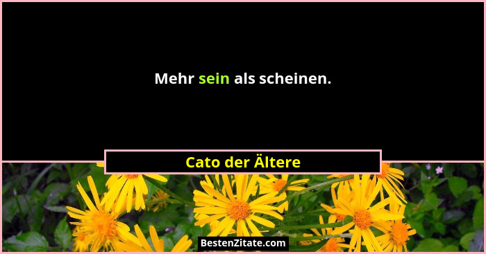 Mehr sein als scheinen.... - Cato der Ältere