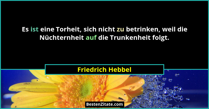 Es ist eine Torheit, sich nicht zu betrinken, weil die Nüchternheit auf die Trunkenheit folgt.... - Friedrich Hebbel