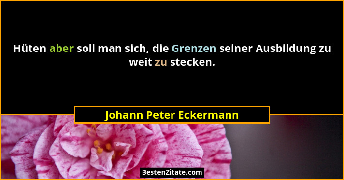 Hüten aber soll man sich, die Grenzen seiner Ausbildung zu weit zu stecken.... - Johann Peter Eckermann