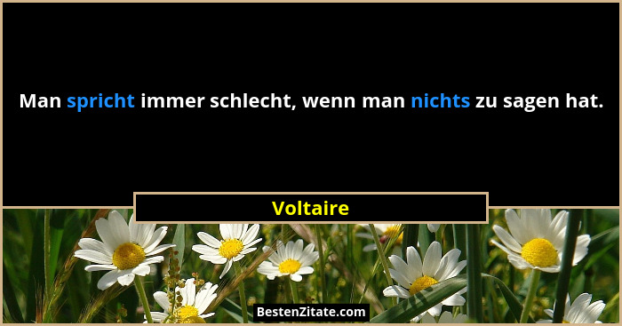 Man spricht immer schlecht, wenn man nichts zu sagen hat.... - Voltaire