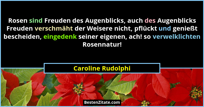 Rosen sind Freuden des Augenblicks, auch des Augenblicks Freuden verschmäht der Weisere nicht, pflückt und genießt bescheiden, ein... - Caroline Rudolphi