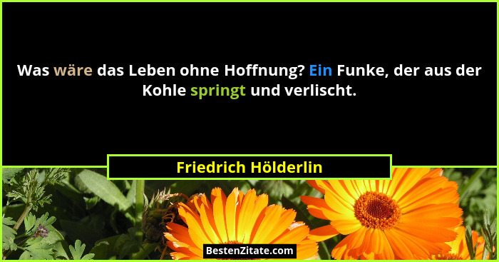 Was wäre das Leben ohne Hoffnung? Ein Funke, der aus der Kohle springt und verlischt.... - Friedrich Hölderlin
