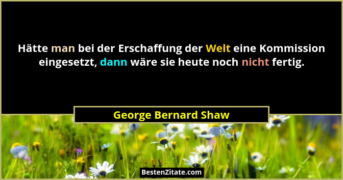 Hätte man bei der Erschaffung der Welt eine Kommission eingesetzt, dann wäre sie heute noch nicht fertig.... - George Bernard Shaw