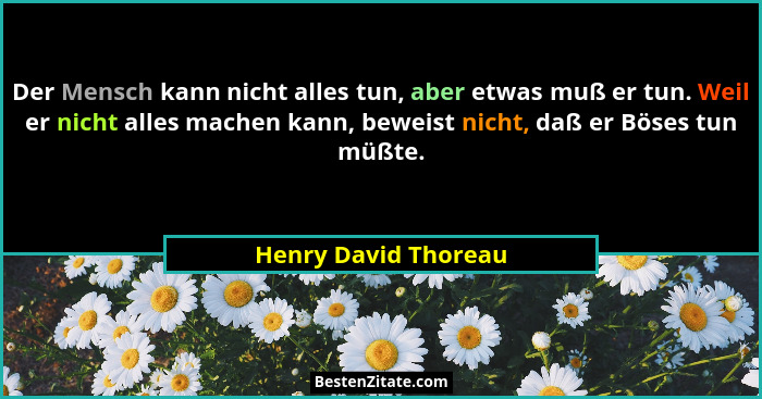 Der Mensch kann nicht alles tun, aber etwas muß er tun. Weil er nicht alles machen kann, beweist nicht, daß er Böses tun müßte.... - Henry David Thoreau