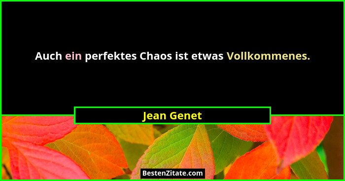 Auch ein perfektes Chaos ist etwas Vollkommenes.... - Jean Genet
