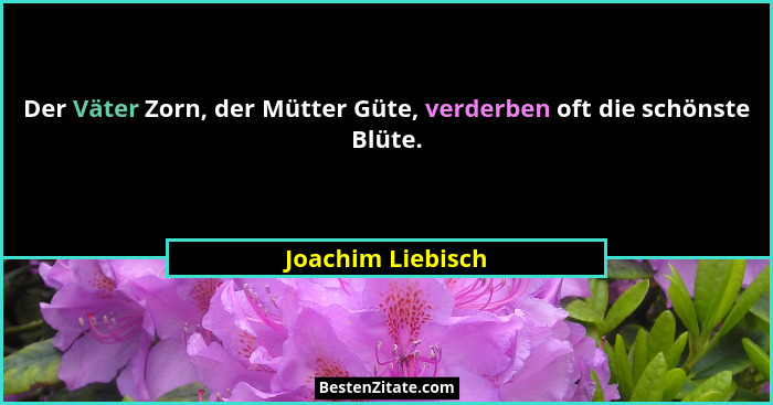 Der Väter Zorn, der Mütter Güte, verderben oft die schönste Blüte.... - Joachim Liebisch