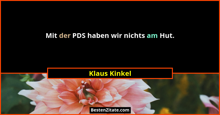 Mit der PDS haben wir nichts am Hut.... - Klaus Kinkel