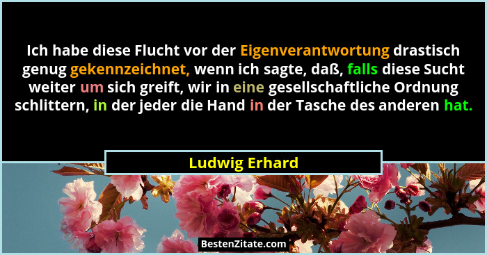 Ich habe diese Flucht vor der Eigenverantwortung drastisch genug gekennzeichnet, wenn ich sagte, daß, falls diese Sucht weiter um sich... - Ludwig Erhard