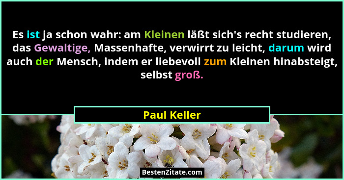 Es ist ja schon wahr: am Kleinen läßt sich's recht studieren, das Gewaltige, Massenhafte, verwirrt zu leicht, darum wird auch der Me... - Paul Keller