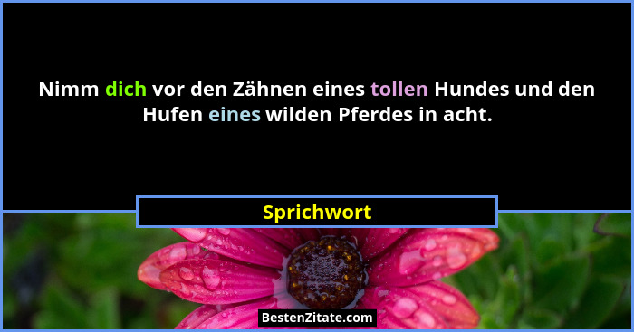 Nimm dich vor den Zähnen eines tollen Hundes und den Hufen eines wilden Pferdes in acht.... - Sprichwort