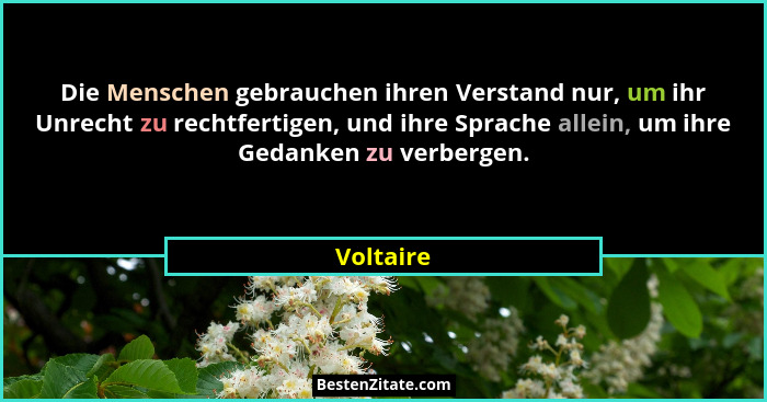 Die Menschen gebrauchen ihren Verstand nur, um ihr Unrecht zu rechtfertigen, und ihre Sprache allein, um ihre Gedanken zu verbergen.... - Voltaire