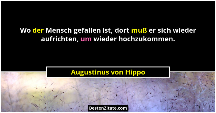 Wo der Mensch gefallen ist, dort muß er sich wieder aufrichten, um wieder hochzukommen.... - Augustinus von Hippo
