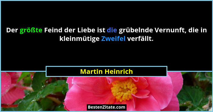 Der größte Feind der Liebe ist die grübelnde Vernunft, die in kleinmütige Zweifel verfällt.... - Martin Heinrich