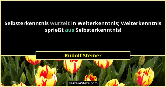 Selbsterkenntnis wurzelt in Welterkenntnis; Welterkenntnis sprießt aus Selbsterkenntnis!... - Rudolf Steiner