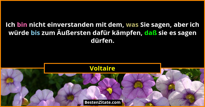 Ich bin nicht einverstanden mit dem, was Sie sagen, aber ich würde bis zum Äußersten dafür kämpfen, daß sie es sagen dürfen.... - Voltaire