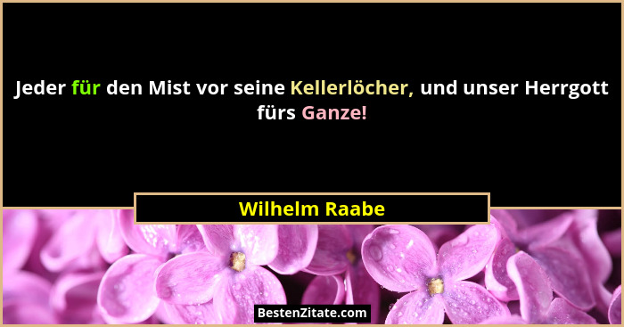 Jeder für den Mist vor seine Kellerlöcher, und unser Herrgott fürs Ganze!... - Wilhelm Raabe