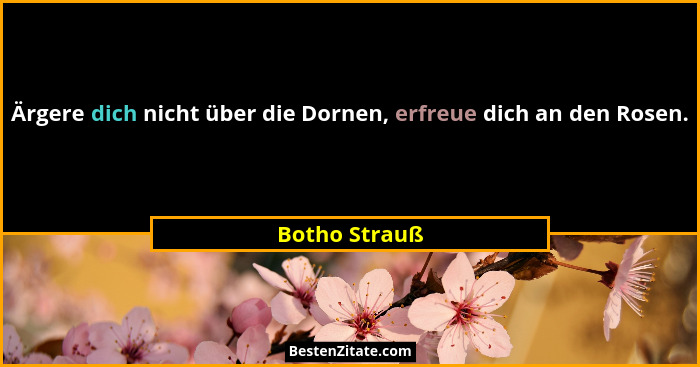 Ärgere dich nicht über die Dornen, erfreue dich an den Rosen.... - Botho Strauß