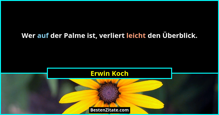 Wer auf der Palme ist, verliert leicht den Überblick.... - Erwin Koch