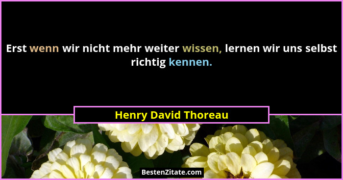 Erst wenn wir nicht mehr weiter wissen, lernen wir uns selbst richtig kennen.... - Henry David Thoreau