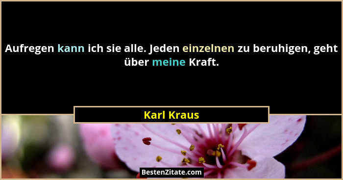 Aufregen kann ich sie alle. Jeden einzelnen zu beruhigen, geht über meine Kraft.... - Karl Kraus