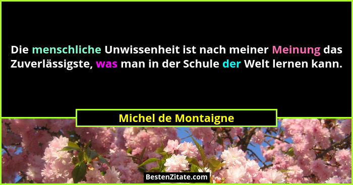 Die menschliche Unwissenheit ist nach meiner Meinung das Zuverlässigste, was man in der Schule der Welt lernen kann.... - Michel de Montaigne