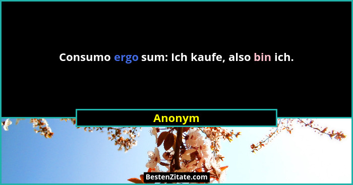 Consumo ergo sum: Ich kaufe, also bin ich.... - Anonym
