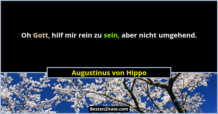 Oh Gott, hilf mir rein zu sein, aber nicht umgehend.... - Augustinus von Hippo