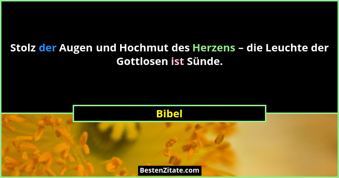 Stolz der Augen und Hochmut des Herzens – die Leuchte der Gottlosen ist Sünde.... - Bibel