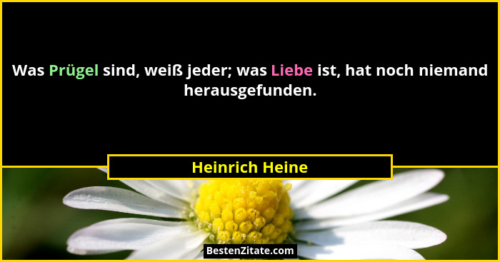 Was Prügel sind, weiß jeder; was Liebe ist, hat noch niemand herausgefunden.... - Heinrich Heine