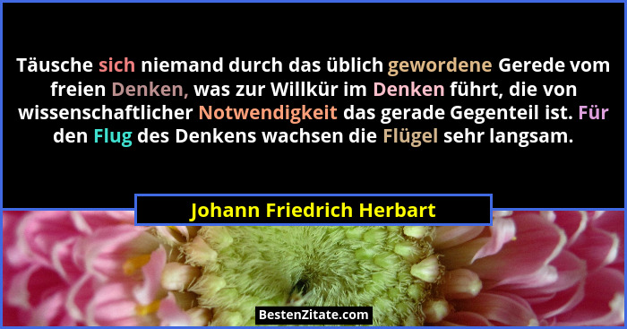 Täusche sich niemand durch das üblich gewordene Gerede vom freien Denken, was zur Willkür im Denken führt, die von wissensc... - Johann Friedrich Herbart