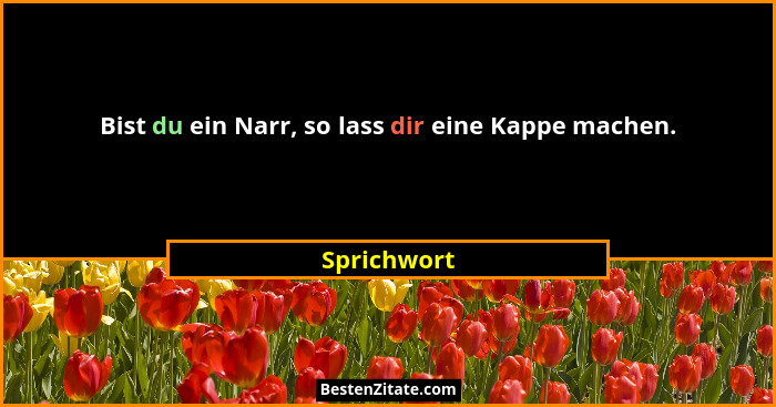 Bist du ein Narr, so lass dir eine Kappe machen.... - Sprichwort