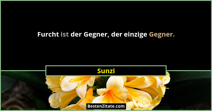 Furcht ist der Gegner, der einzige Gegner.... - Sunzi