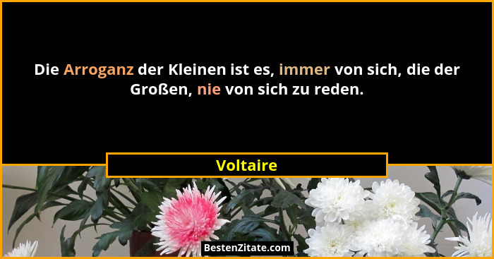 Die Arroganz der Kleinen ist es, immer von sich, die der Großen, nie von sich zu reden.... - Voltaire