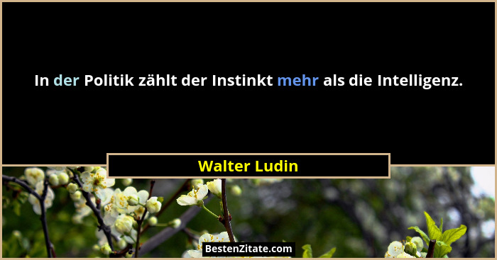 In der Politik zählt der Instinkt mehr als die Intelligenz.... - Walter Ludin