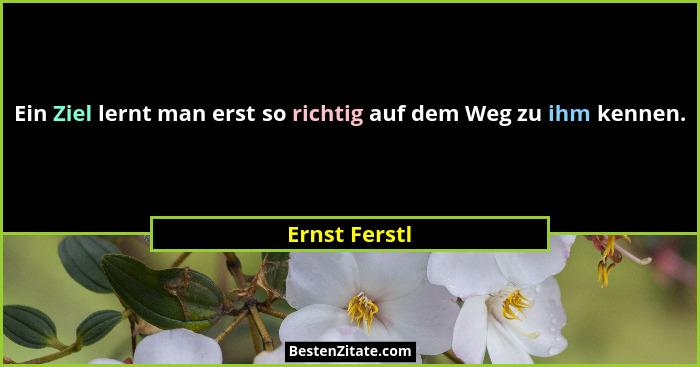 Ein Ziel lernt man erst so richtig auf dem Weg zu ihm kennen.... - Ernst Ferstl
