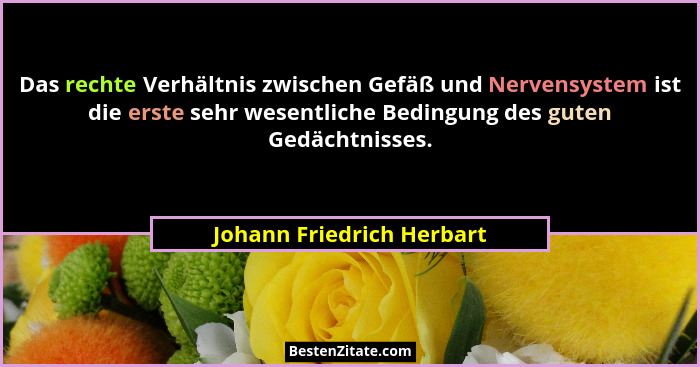 Das rechte Verhältnis zwischen Gefäß und Nervensystem ist die erste sehr wesentliche Bedingung des guten Gedächtnisses.... - Johann Friedrich Herbart