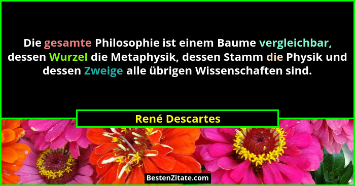 Die gesamte Philosophie ist einem Baume vergleichbar, dessen Wurzel die Metaphysik, dessen Stamm die Physik und dessen Zweige alle üb... - René Descartes