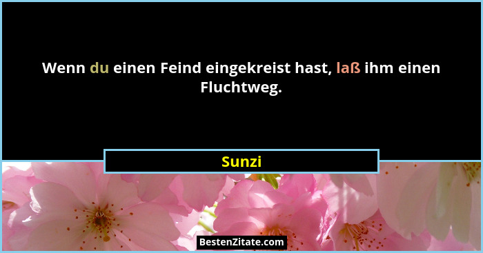 Wenn du einen Feind eingekreist hast, laß ihm einen Fluchtweg.... - Sunzi