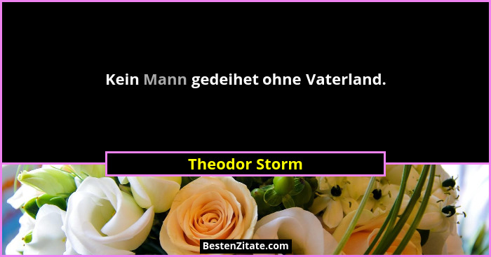 Kein Mann gedeihet ohne Vaterland.... - Theodor Storm