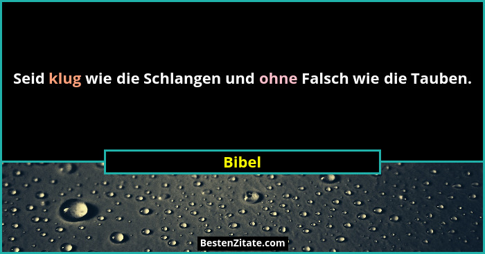 Seid klug wie die Schlangen und ohne Falsch wie die Tauben.... - Bibel