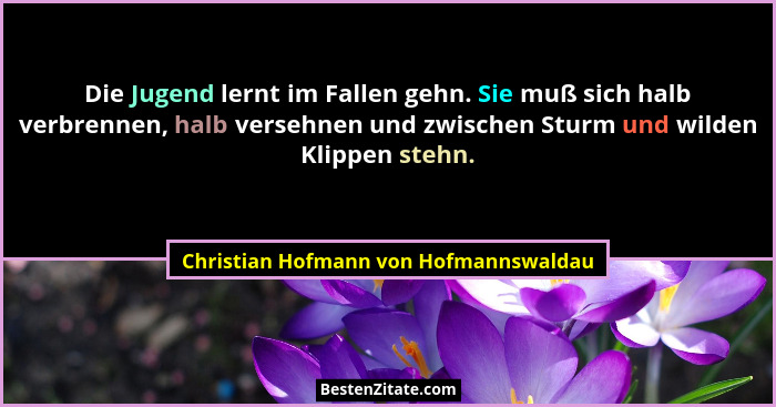 Die Jugend lernt im Fallen gehn. Sie muß sich halb verbrennen, halb versehnen und zwischen Sturm und wilden Kli... - Christian Hofmann von Hofmannswaldau