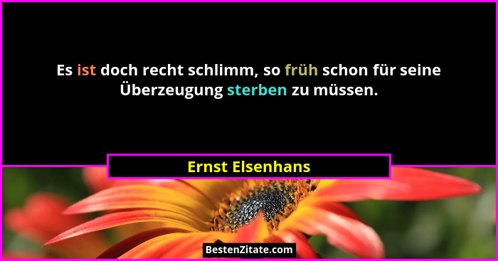 Es ist doch recht schlimm, so früh schon für seine Überzeugung sterben zu müssen.... - Ernst Elsenhans