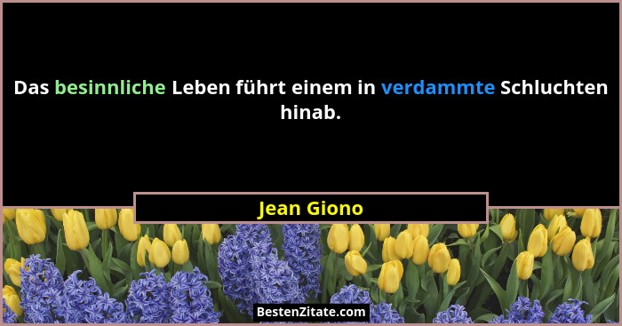 Das besinnliche Leben führt einem in verdammte Schluchten hinab.... - Jean Giono