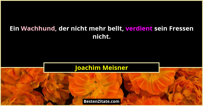 Ein Wachhund, der nicht mehr bellt, verdient sein Fressen nicht.... - Joachim Meisner