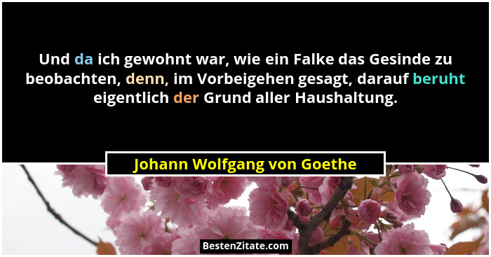 Und da ich gewohnt war, wie ein Falke das Gesinde zu beobachten, denn, im Vorbeigehen gesagt, darauf beruht eigentlich de... - Johann Wolfgang von Goethe