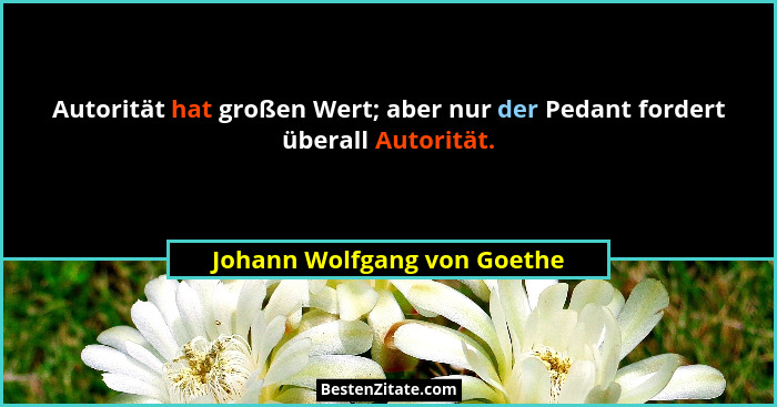 Autorität hat großen Wert; aber nur der Pedant fordert überall Autorität.... - Johann Wolfgang von Goethe
