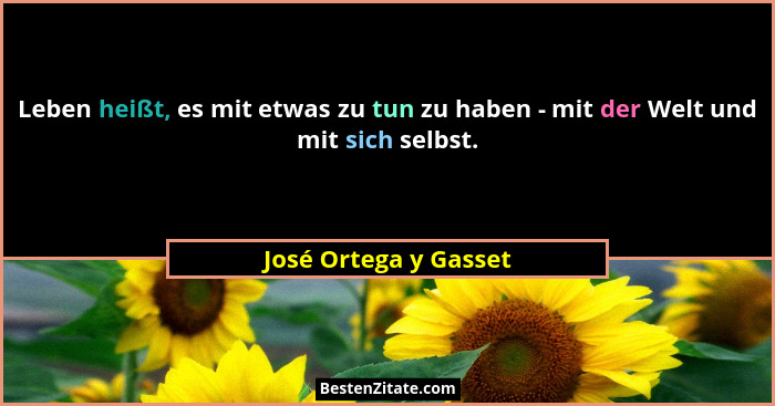 Leben heißt, es mit etwas zu tun zu haben - mit der Welt und mit sich selbst.... - José Ortega y Gasset