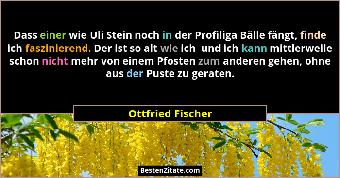 Dass einer wie Uli Stein noch in der Profiliga Bälle fängt, finde ich faszinierend. Der ist so alt wie ich  und ich kann mittlerwei... - Ottfried Fischer