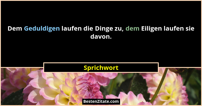 Dem Geduldigen laufen die Dinge zu, dem Eiligen laufen sie davon.... - Sprichwort